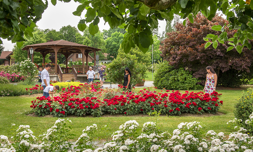 Rosarium