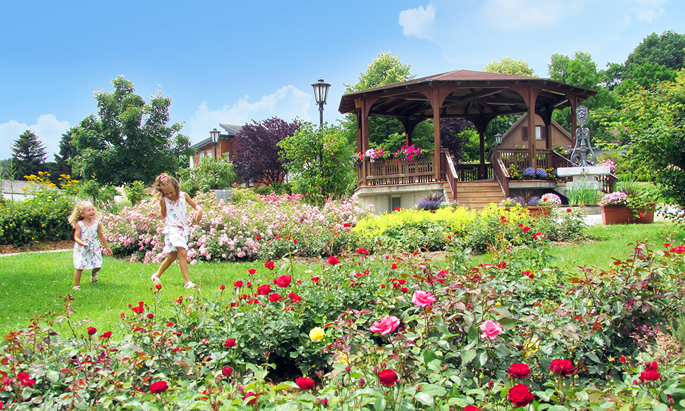 Rosarium|Freizeitpark