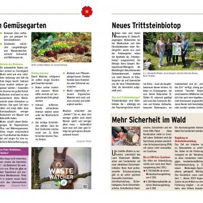 Gz26 2 Sommer31