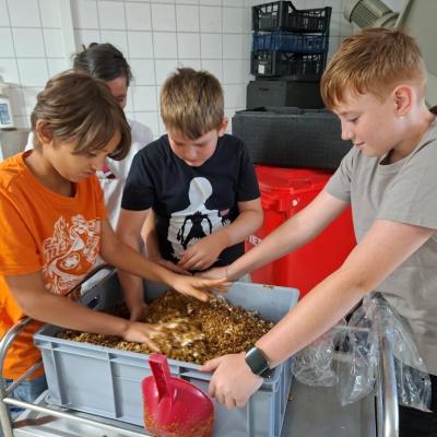 20260714 Pilz 9