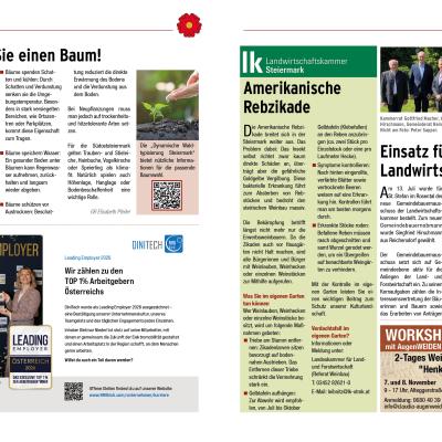 Gz26 3 Herbst29